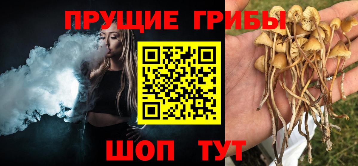 Псилоцибиновые грибы Magic Shrooms Домодедово