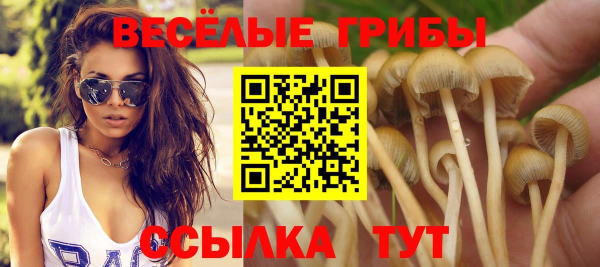 Домодедово  Псилоцибиновые грибы мицелий  Вход с VPN 